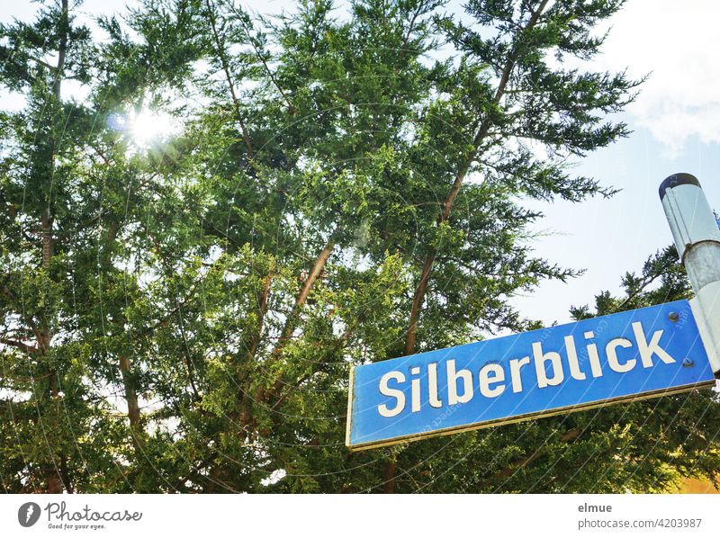 blaues Straßenschild mit weißer Schrift " Silberblick " an einer Eisenstange vor hohen Koniferen durch die die Sonne strahlt / Straßenname / wohnen Weg einfach