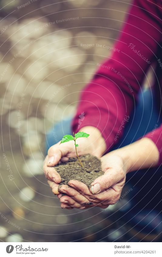 Wachstum - Erde mit Pflanze in den Händen Natur halten wachsen Sprössling Entwicklung Naturliebe Garten nachhaltig Umwelt