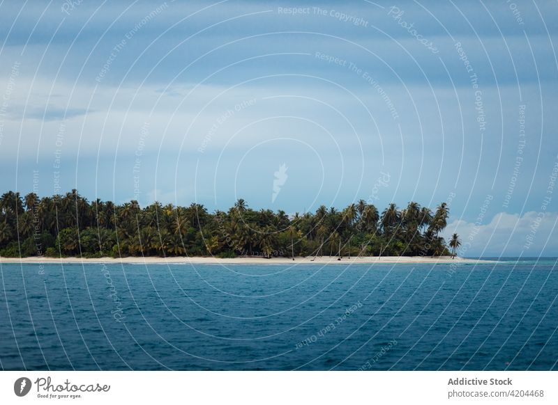 Tropische Insel mit Palmen exotisch Unbewohnt träumen sonnig Küstenlinie idyllisch Pflanze Blauer Himmel Indonesien Meereslandschaft sich[Akk] entspannen Ufer