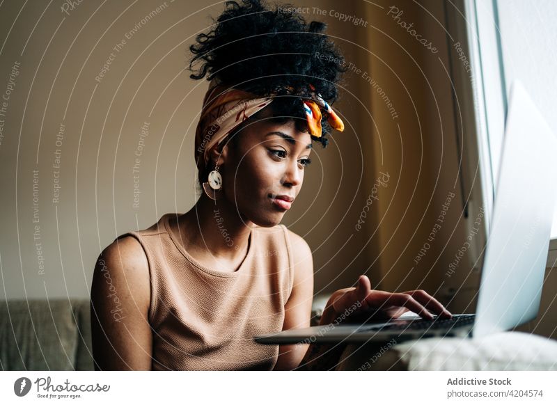 Schwarze Freiberuflerin arbeitet zu Hause am Laptop freiberuflich Frau Tippen heimwärts Arbeit abgelegen Projekt Browsen benutzend ethnisch schwarz