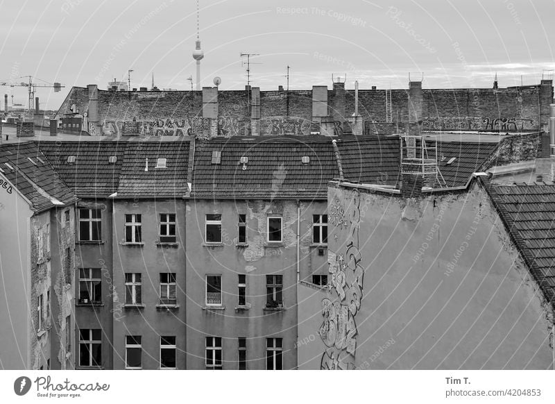 Blick in einem Hinterhof über das Dach zum Fernsehturm Prenzlauer Berg Berlin Graffiti roof Hof Menschenleer Stadt Außenaufnahme Stadtzentrum Haus Altbau