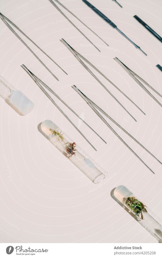 Set mit verschiedenen Werkzeugen für biologische Tests Biotechnologie Pinzette Flasche Biologie Pflanze Experiment Instrument steril Prüfung Metall Tisch