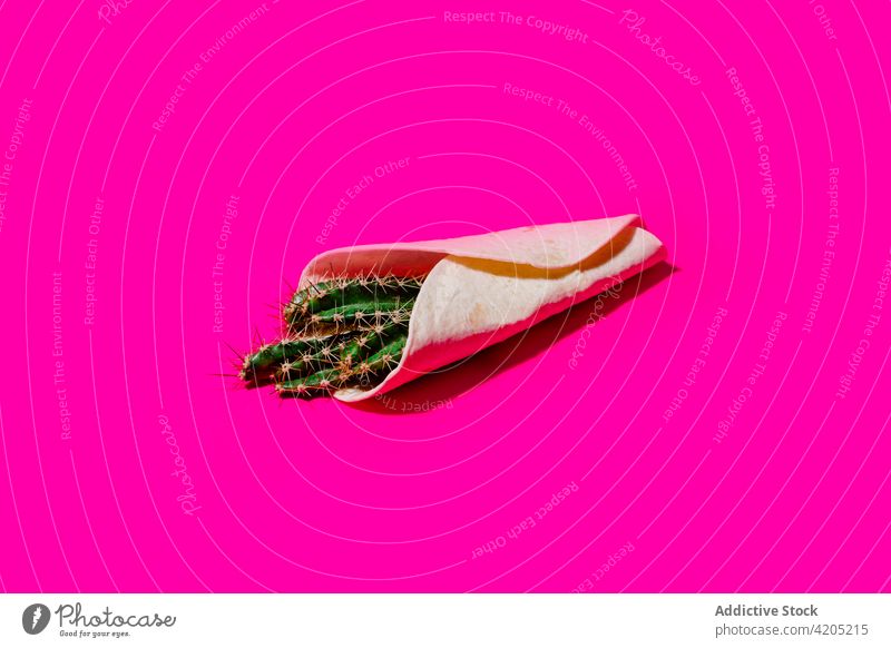 Tortilla-Wraps mit Kaktuspflanze umhüllen Muster Pflanze Farbe Lebensmittel Flora Kulisse Konzept übergangslos Geometrie Botanik Mexiko mexikanisch farbenfroh