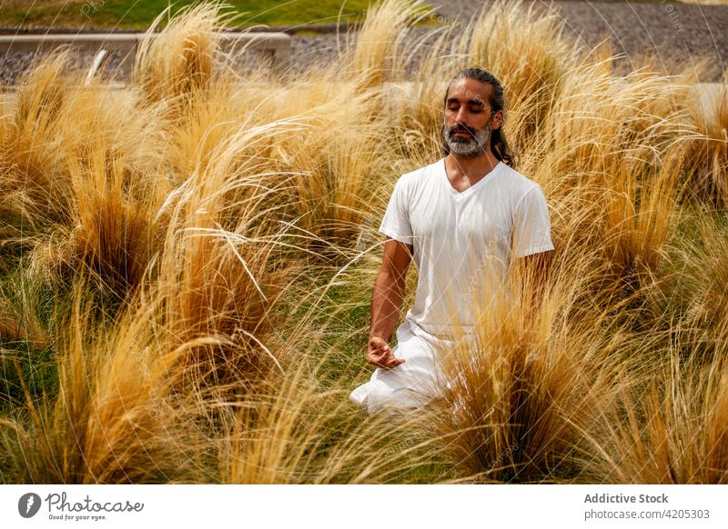 Ethnischer Mann, der beim Yoga im Gras atmet meditieren Atem Harmonie Sprit Stressabbau Zen Mudra üben Gesunder Lebensstil Wellness gestikulieren Wissen Symbol