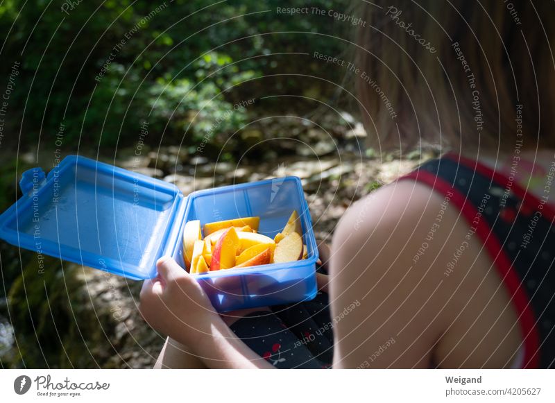 Kind macht Pause beim Wandern Picknick Snack Familie Geschwister Mädchen Ferien draußen Essen Äpfel Natur Ausflug
