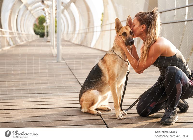 Junge Besitzerin küsst reinrassigen Hund während des Trainings Frau Deutscher Schäferhund Läufer Streicheln Kraulen Eckzahn Haustier Reinrassig Zusammensein