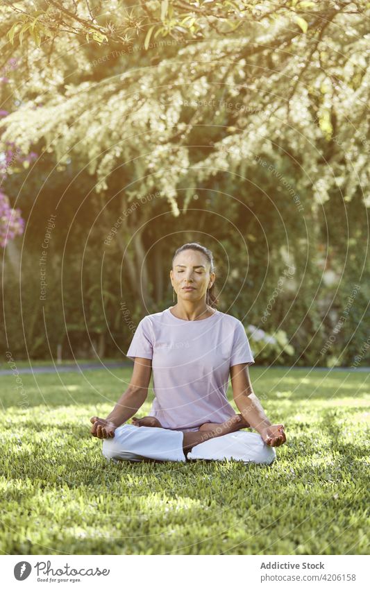 Frau sitzend auf Lotus Pose im Park Yoga meditieren üben Namaste beweglich Lotus-Pose Augen geschlossen Wohlbefinden Mudra Glück Vitalität Gesunder Lebensstil