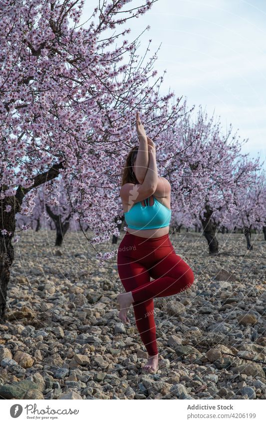 Plus Größe Frau tut Yoga in Eagle Pose in blühenden Garten üben Frühling Blüte Adler-Pose Gleichgewicht Harmonie Kurve Mandel Baum Blütezeit Sportbekleidung