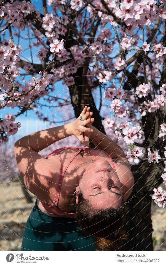 Frau macht Yoga in Adlerpose im blühenden Garten üben Frühling Blüte Adler-Pose Gleichgewicht Harmonie Kurve Mandel Baum Blütezeit Sportbekleidung Gesundheit