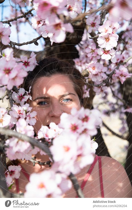 Junge Frau unter blühendem Baum stehend Blume Blütezeit rosa Mandel Frühling Garten Porträt Ast Natur Schönheit Aroma Menschliches Gesicht Harmonie Lächeln