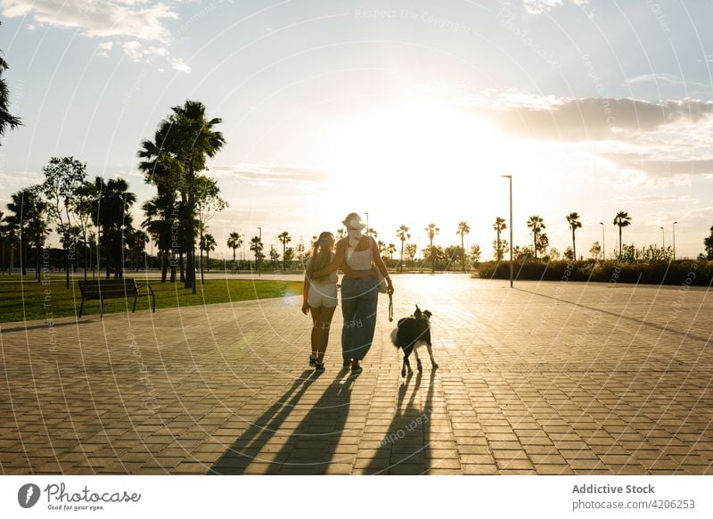 Mutter und Tochter gehen mit Hund bei Sonnenuntergang spazieren Spaziergang Zusammensein Border Collie Sommer schlendern genießen Teenager Frau Mädchen Weg Park