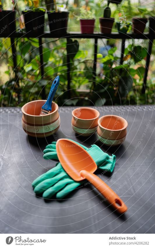 Gartengeräte und Töpfe auf dem Tisch im Gewächshaus Werkzeug Topf Sammlung Handschuh schaufeln Keramik organisch Flora Pflanze Gartenbau Botanik kultivieren