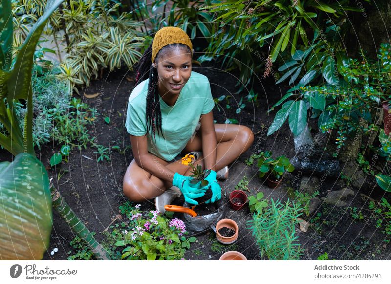 Ethnische Frau kümmert sich um Pflanzen im Gewächshaus Gärtner Neuanlage Transplantation Blume Lächeln Kalanchoe Pflege ethnisch schwarz Afroamerikaner