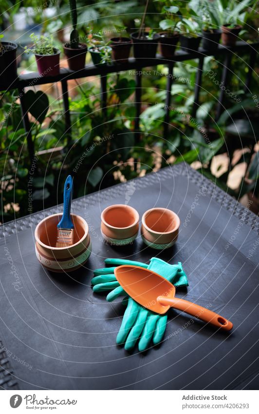 Gartengeräte und Töpfe auf dem Tisch im Gewächshaus Werkzeug Topf Sammlung Handschuh schaufeln Keramik organisch Flora Pflanze Gartenbau Botanik kultivieren