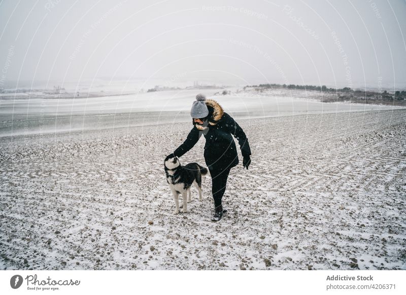 Anonyme Frau geht mit Husky auf einer Winterwiese spazieren Feld Haustier Spaziergang Besitzer Streicheln Landschaft Hund Wiese gehorsam Schnee tagsüber