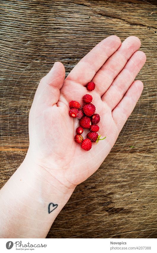 Wilde Erdbeeren Walderdbeeren Obst Natur Lebensmittel Nahrung Hand Frauenhand herz Finger Handfläche Tattoo holz holztisch Scheunentor Struktur verrotten braun