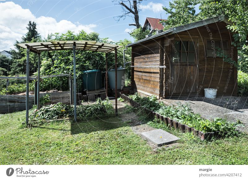Ein Gartenhaus mit Beeten und Regenfässer Natur Pflanze Außenaufnahme Menschenleer grün Sommer natürlich Wachstum Gartenlaube Schrebergarten Freizeit & Hobby