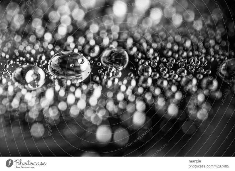 Wassertropfen  in schwarz weiß nass Makroaufnahme Tropfen Reflexion & Spiegelung Licht Regen glänzend Detailaufnahme feucht Nahaufnahme Unschärfe Menschenleer