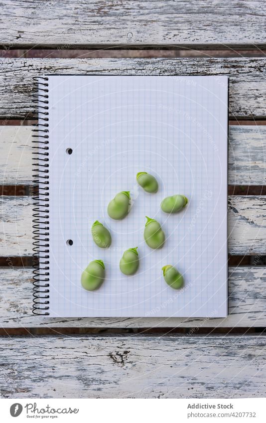 Grüne Bohnen auf einem Notizbuch auf dem Tisch Notebook frisch roh Notizblock Lebensmittel Gesundheit grün natürlich Schreibtisch Papier Page blanko hölzern