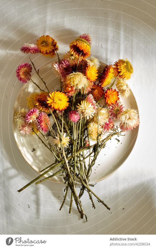 Strohblumenstrauß auf einem Teller auf dem Tisch Blume Sonnenlicht geblümt Haufen Blumenstrauß frisch sanft Schönheit romantisch Blütezeit farbenfroh