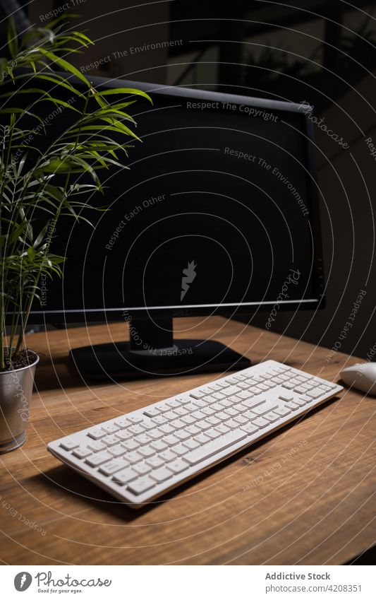Tastatur mit Maus auf dem Schreibtisch mit Topfpflanze angeordnet Keyboard Pflanze Büro Computer Arbeitsplatz elektronisch Job Monitor digital