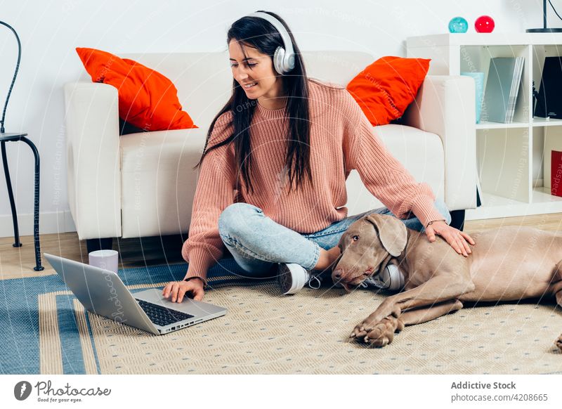 Glückliche Frau mit reinrassigem Hund, die zu Hause einen Laptop benutzt Zusammensein benutzend Reinrassig Haustier bester Freund Liebe Begleiter züchten loyal