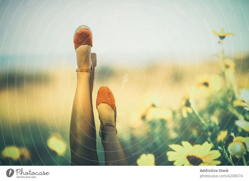 Crop Frau schwingt Beine gegen Blumen Projektion Schaukelbein Feld Sommer Konzept Wochenende ruhen Freiheit Blütezeit sich[Akk] entspannen Natur Wiese