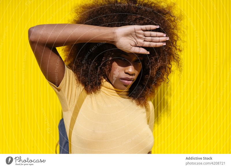 Trendy schwarze Frau steht auf gelbem Hintergrund Afro-Look Frisur farbenfroh Porträt hell Afroamerikaner ethnisch trendy charismatisch krause Haare lässig