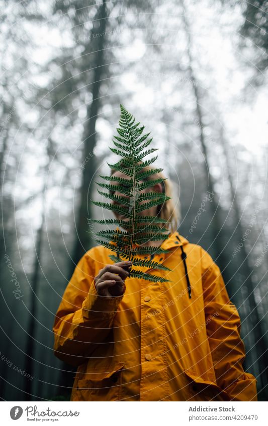 Wanderer bedeckt Gesicht mit Farnblatt im Wald Deckblatt Wurmfarn Blatt natürlich Botanik Fernweh erkunden Frau Porträt üppig (Wuchs) vaskulär Tourist Tierhaut