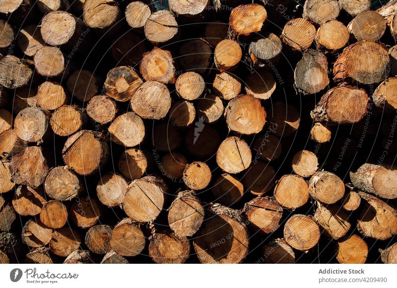 Strukturierte Kulisse aus Brennholz mit trockener, rauer Rinde natürlich Hintergrund Reihe Lager trocknen uneben Textur Landschaft Pflanze Zweig braun Haufen
