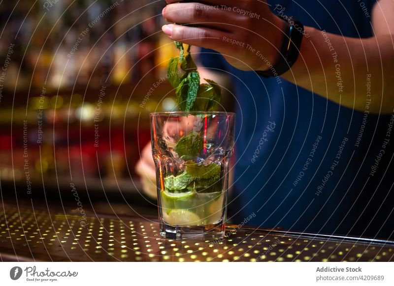 Unbekannter Barkeeper, der bei der Zubereitung eines Cocktails in der Bar einige Minzblätter ins Glas gibt Alkohol alkoholisch Aperitif Barista Barmann Getränk