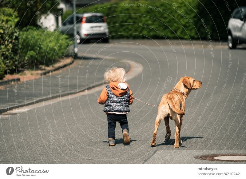 Kleines Mädchen läuft mit Hund an der Leine auf der Strasse Familienfotografie Frühling Kind Kindheit Tiere Freundschaft vier pfoten Haustier Labrador Glück