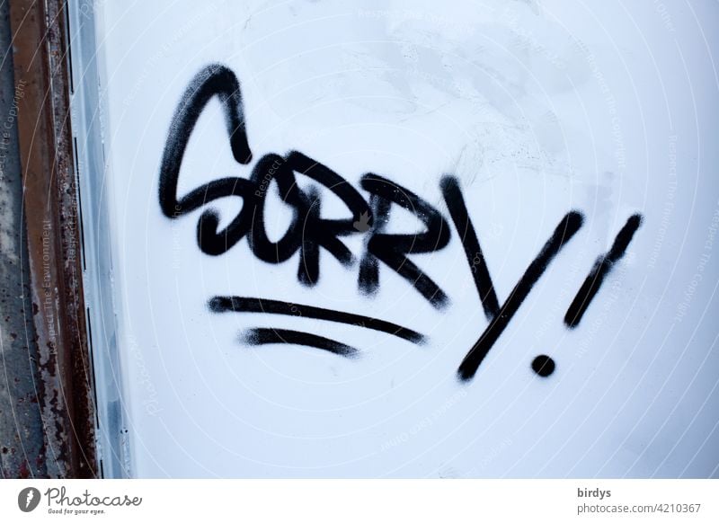 Sorry ! . Graffiti auf einer Wand . Schrift, Entschuldigung Schriftzeichen Wort entschuldigen Bedauern bedauerlich Reue Aufrichtigkeit bereuen zynisch gesprayt