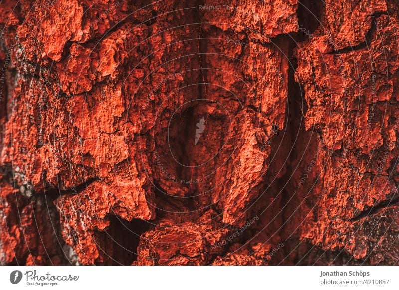 rot angemalte Baumrinde Strukturen & Formen Wald Farbfoto Natur Nahaufnahme natur Rinde Outdoor Außenaufnahme farbe rote Farbe Waldsterben Warnfarbe