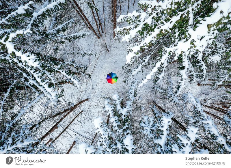 Color contrast concept of a rainbow colored umbrella in the middle of a white snow covered forest, idyllic moment of the winter season. cold nature park walk