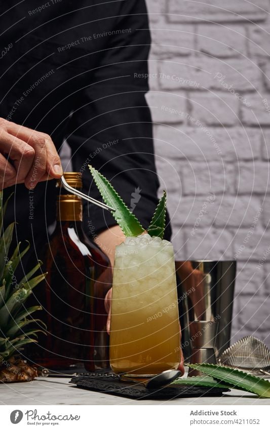 Anonymer Barkeeper dekoriert Cocktail mit Blättern in der Nähe von Shaker und Flasche Mann Glas Eis Würfel Blatt Schüttler Abfertigungsschalter männlich