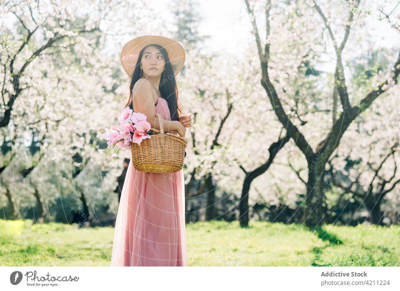 Frau im Kleid geht im Obstgarten mit Korb mit Blumen Kirsche Garten Blütezeit elegant Schuh Stil Baum Natur Park stehen Flora filigran Pflanze frisch feminin
