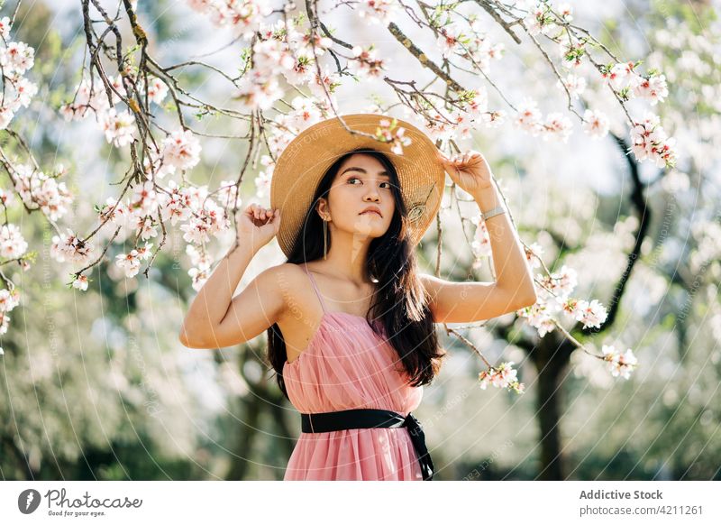Romantische asiatische Frau unter blühenden Brünetten stehend Kirsche Obstgarten Blume Baum Frühling Blütezeit romantisch Kleid Garten Flora emotionslos wachsen