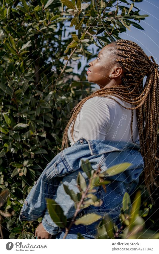 Stilvolle schwarze Frau in Denim-Kleidung im Park Jeansstoff Outfit cool Sommer sonnig Geflecht Frisur ethnisch Afroamerikaner grün Garten stehen Individualität