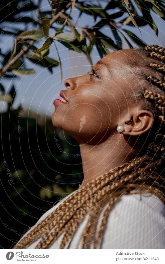 Stilvolle schwarze Frau in Denim-Kleidung im Park Jeansstoff Outfit cool Sommer sonnig Geflecht Frisur ethnisch Afroamerikaner grün Garten stehen Individualität