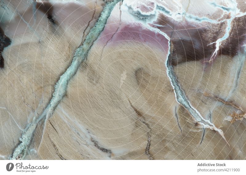 Hintergrund der versteinerten Holzdetails Arizona abstrakt texturiert Woodworthia antik braun Nahaufnahme detailliert fossil versteinertes Holz voller Rahmen
