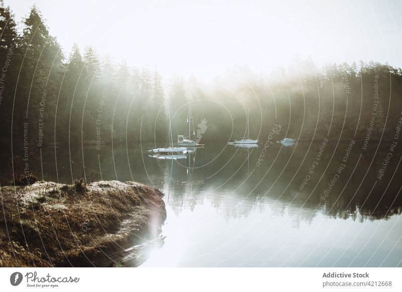 Schöne Landschaft eines Sees mit einigen Booten an einem nebligen Tag Nebel Natur Wasser im Freien schön Wald reisen Morgen weiß Himmel Hintergrund Mysterium