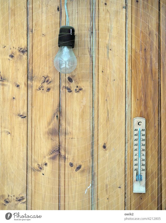 Minusgrade Wand Holz Bretterwand Thermometer Lampe sparsam Glühbirne spartanisch einfach nackt Tageslicht Detailaufnahme menschenleer Textfreiraum links
