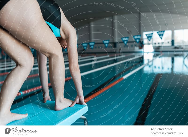 Schwimmerin bereitet sich auf den Sprung ins Wasser vor Sport Frau Pool Athlet jung Badebekleidung Podium springen Trampolin Training blau Menschen