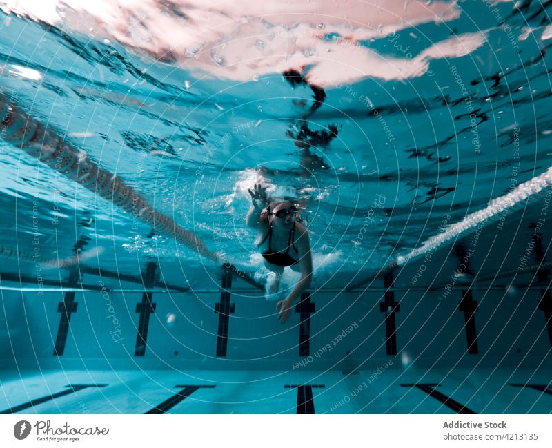 Frau schwimmt in einem Pool Sport Wasser Schwimmer Schwimmsport Athlet jung Badebekleidung Training blau Menschen Verschlussdeckel Konkurrenz Person Lifestyle