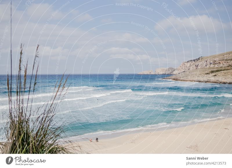 Strand von Cala Mesquida auf Mallorca Meer Sand Wasser Wellen Sonne Himmel Ferien & Urlaub & Reisen Schönes Wetter Küste Außenaufnahme Farbfoto Natur