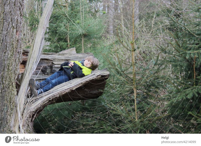 ein Bett im Wald  ;-) - Kind liegt im Wald auf dem abgebrochenen Teil eines Baumstammes Mensch Junge liegen rasten Pause Sturmschaden Fichte Tanne ausruhen