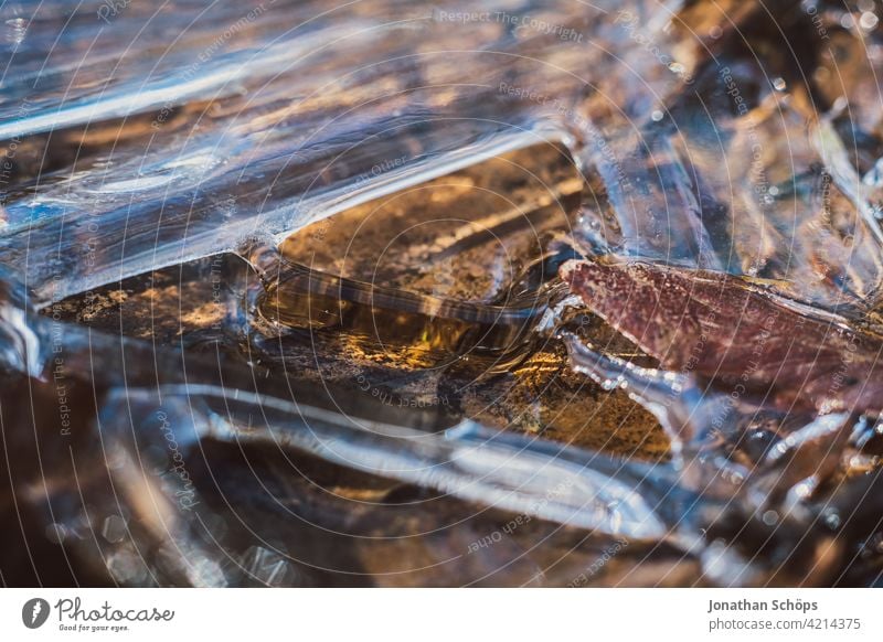 braunes Blatt auf dem Boden im Eis gefroren Nahaufnahme Menschenleer Tag Außenaufnahme Hintergrundbild Farbfoto Strukturen & Formen Herbstfärbung Herbstwald