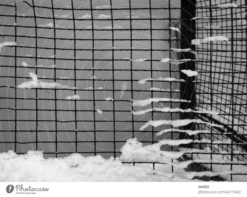 Kühlbox Detailaufnahme Zaun Metall Gitterzaun Maschendraht Schnee Durchblick Schutz Sicherheit Winter Menschenleer Barriere Außenaufnahme Strukturen & Formen