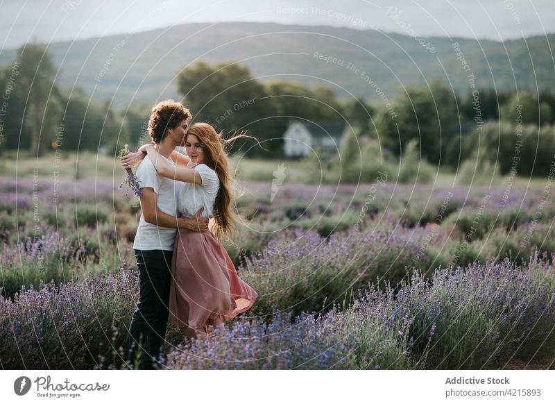 Paar steht in blühendem Lavendelfeld Feld Blume Wiese umarmt Umarmung kuscheln Angebot Liebe Blüte Blütezeit romantisch Natur Zusammensein Aroma Sommer geblümt